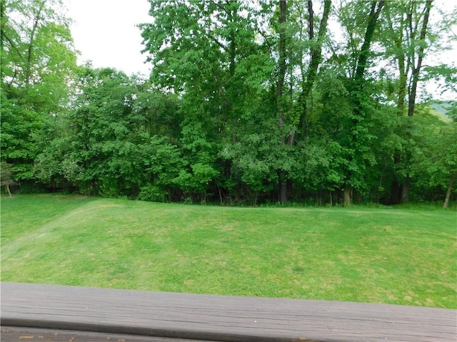 view of grassy yard