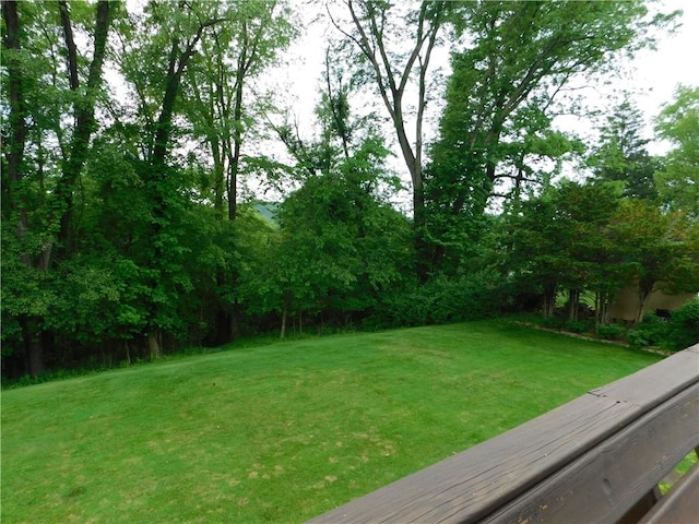 view of grassy yard