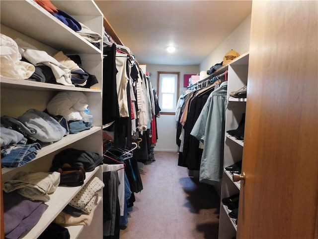 walk in closet with carpet floors
