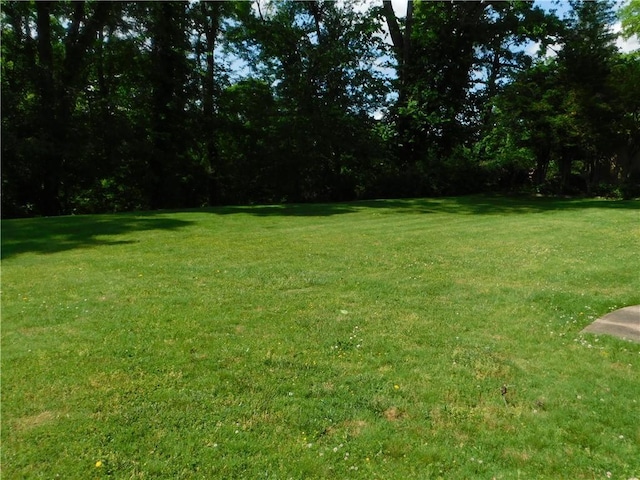 view of grassy yard