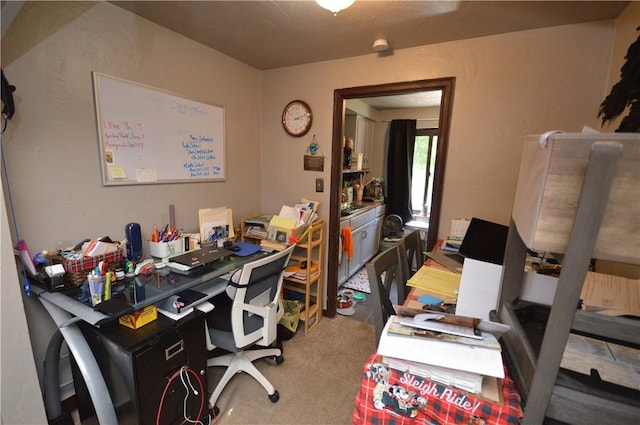 43 Bellevue Ave, West View, PA 15229 - view of carpeted office
