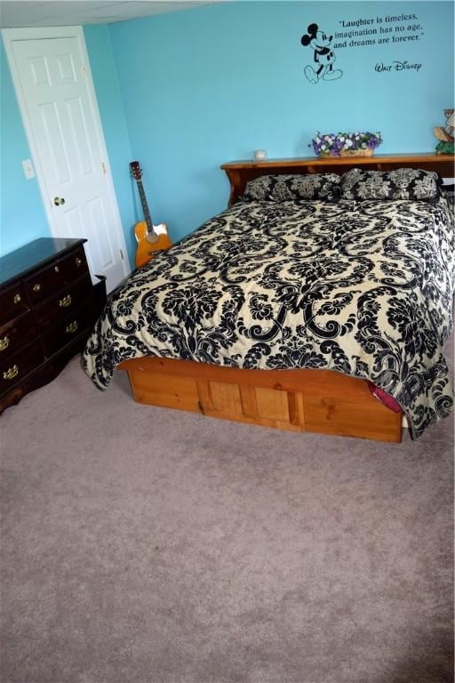 333 Baum Rd, Derry Twp, PA 15627 - view of carpeted bedroom