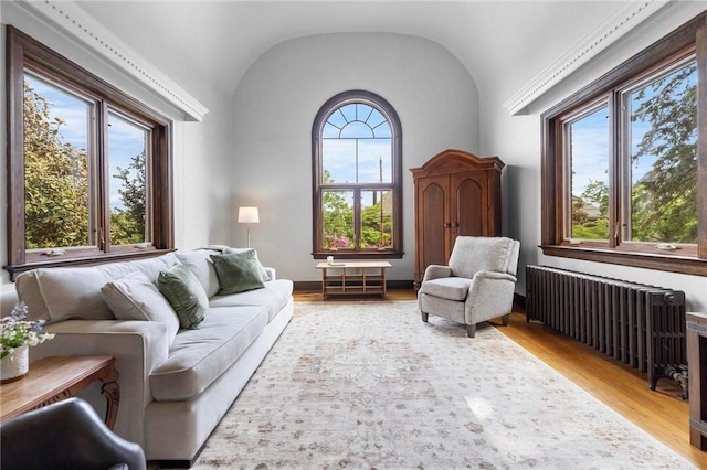 218 Barth Ave, Mt Lebanon, PA 15228 - living area with wood finished floors, vaulted ceiling, and radiator