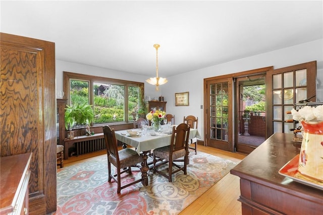 218 Barth Ave, Mt Lebanon, PA 15228 - dining room with light wood finished floors and radiator heating unit