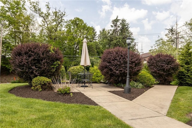 1265 Norberry Ct Unit 18, Cranberry Twp, PA 16066 - view of community featuring a patio and a lawn