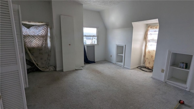 315 Lowell St, East Liberty, PA 15206 - additional living space with lofted ceiling, carpet floors, a textured ceiling, and baseboards