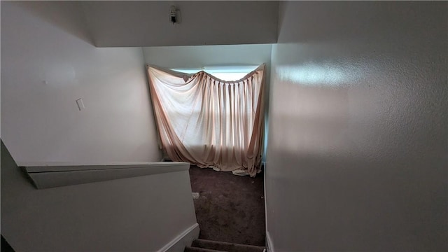 315 Lowell St, East Liberty, PA 15206 - staircase featuring carpet flooring