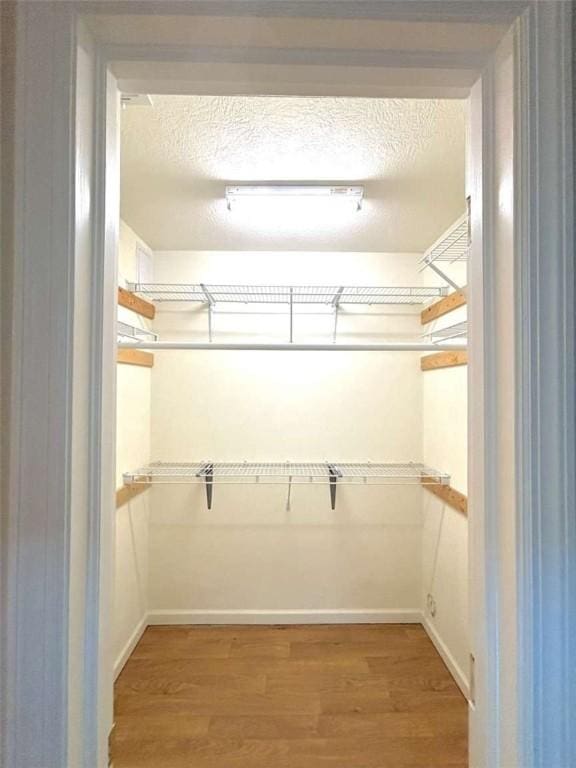 spacious closet with light wood-style flooring
