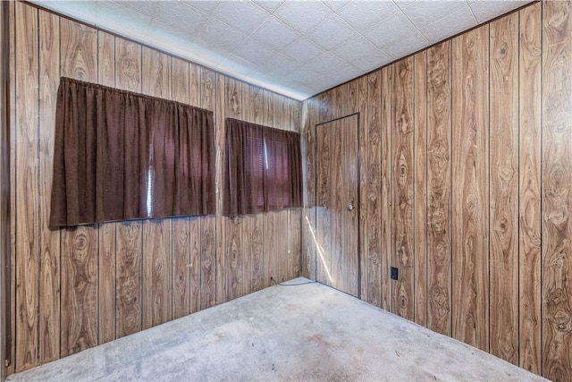 1028 Woodland Ave, Port Vue, PA 15133 - carpeted spare room featuring wooden walls