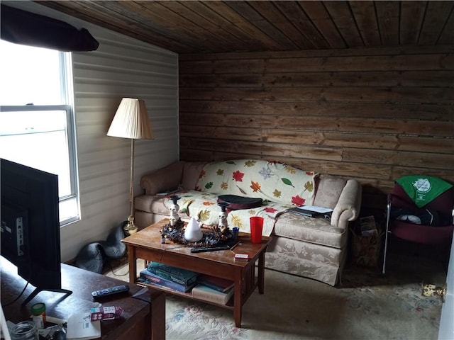 81 Allen St, Allentown, PA 15210 - living room with wooden ceiling