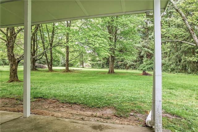 1196 Rutledge Rd, Pymatuning Twp, PA 16154 - view of green lawn