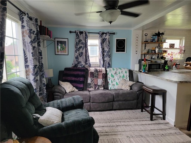 301 Main St, E Mahoning/Marion Ctr, PA 15759 - living room featuring plenty of natural light, ornamental molding, and ceiling fan
