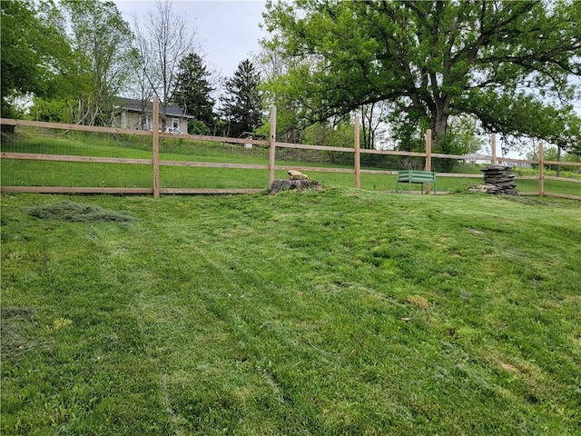 301 Main St, E Mahoning/Marion Ctr, PA 15759 - view of yard