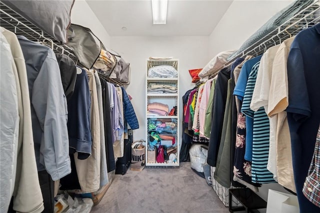 5570 Centre Ave Unit 403, Shadyside, PA 15232 - spacious closet featuring carpet floors