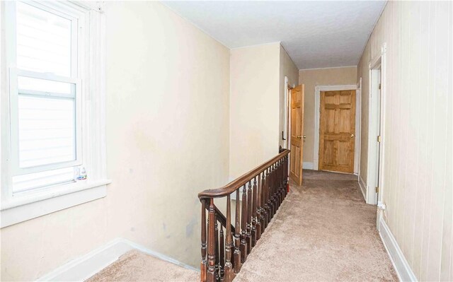 969 Water St, Indiana Boro, PA 15701 - hall featuring carpet and baseboards