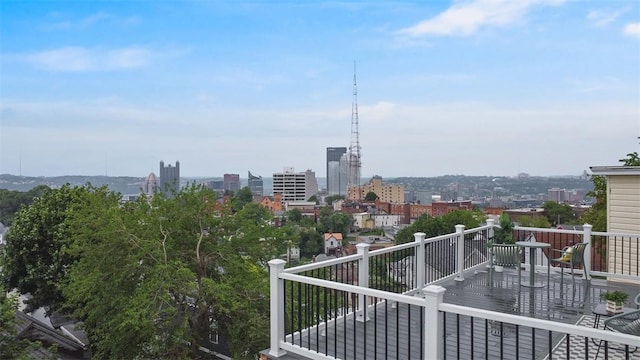 130 Prospect St, Mt Washington, PA 15211 - city view