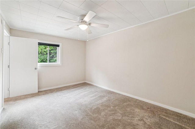 1390 Ravine St, Munhall, PA 15120 - photo 14
