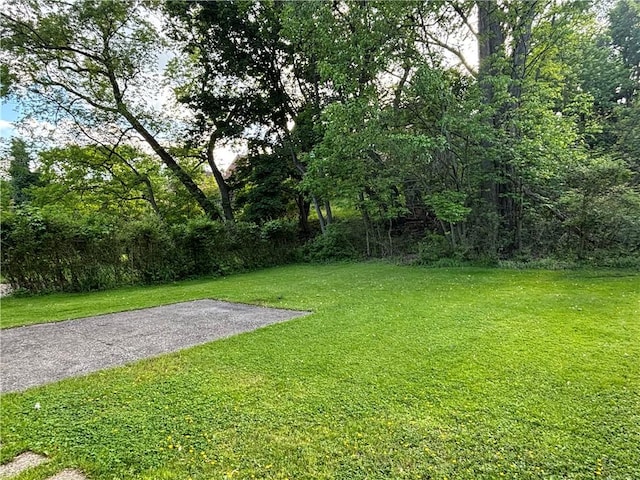 110 Orin St, Penn Hills, PA 15235 - view of green lawn
