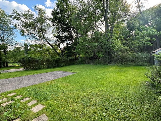 110 Orin St, Penn Hills, PA 15235 - view of green lawn