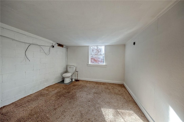 110 Orin St, Penn Hills, PA 15235 - basement featuring carpet and concrete block wall