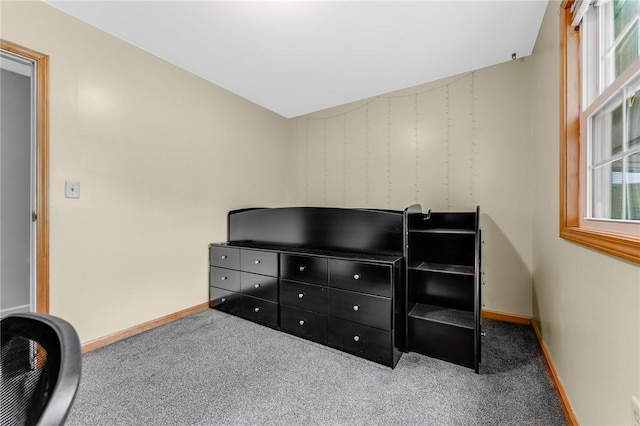 431 Mount Morris Rd, Kirby/Mtmorris, PA 15349 - misc room featuring carpet floors, plenty of natural light, and baseboards