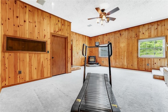 431 Mount Morris Rd, Kirby/Mtmorris, PA 15349 - workout room with carpet floors, wood walls, a ceiling fan, a wood stove, and a textured ceiling