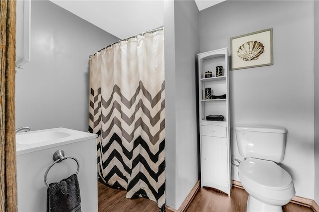 431 Mount Morris Rd, Kirby/Mtmorris, PA 15349 - full bathroom with wood finished floors, toilet, a sink, a shower with shower curtain, and baseboards