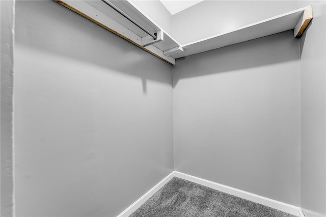 431 Mount Morris Rd, Kirby/Mtmorris, PA 15349 - walk in closet with carpet