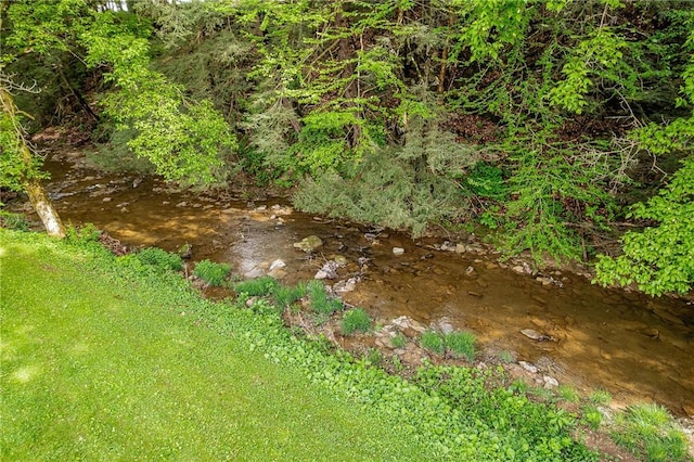431 Mount Morris Rd, Kirby/Mtmorris, PA 15349 - view of yard