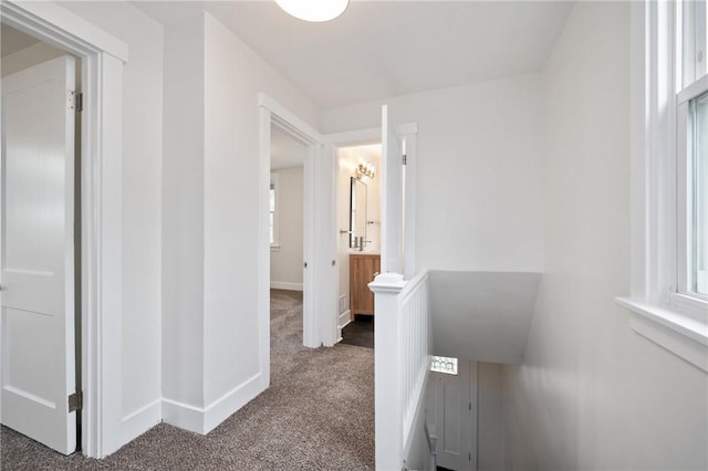 123 Bascom Ave, Observatory Hill, PA 15214 - hall with carpet, baseboards, and an upstairs landing