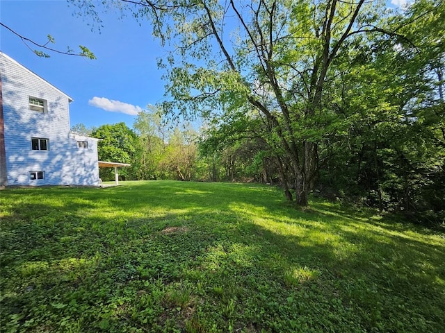 view of green lawn