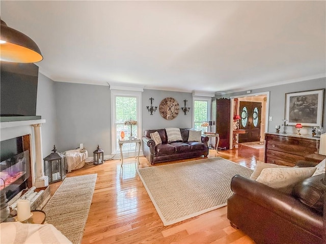 2388 Mill Grove Rd, Upper St Clair, PA 15241 - living area featuring plenty of natural light, ornamental molding, a fireplace with flush hearth, and light wood finished floors