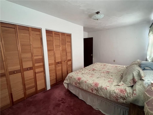 277 Widmer Ave, Lower Burrell, PA 15068 - bedroom with two closets and carpet floors