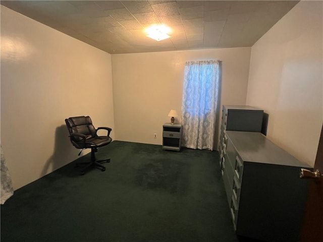 277 Widmer Ave, Lower Burrell, PA 15068 - living area featuring dark colored carpet
