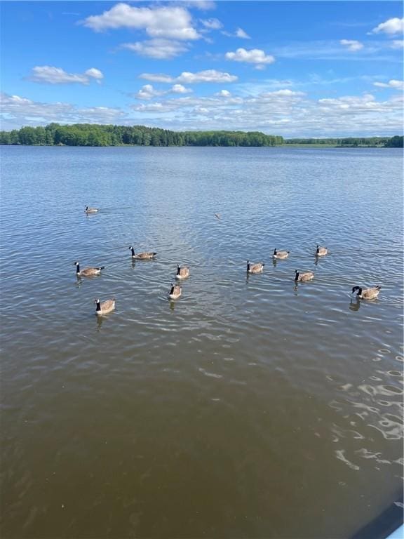 218 S Mercer, Linesville Boro, PA 16424 - water view