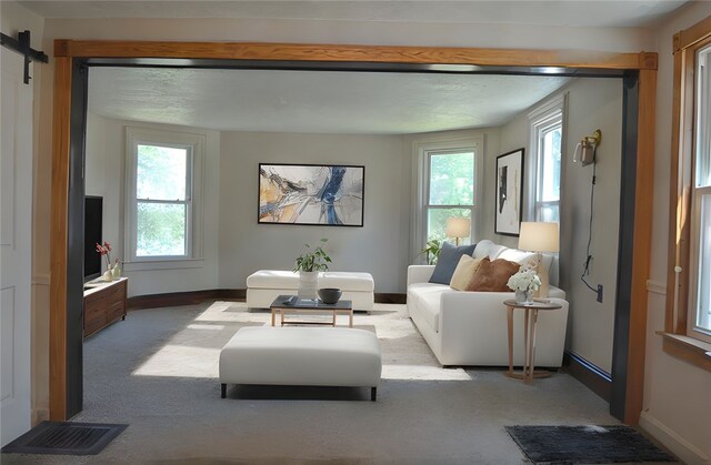 218 S Mercer, Linesville Boro, PA 16424 - living area featuring carpet floors, healthy amount of natural light, and a barn door