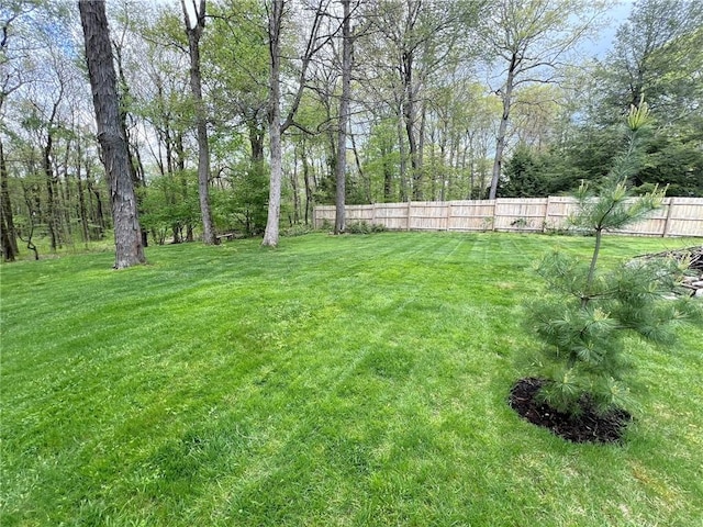 643 Laurel Summit Rd, Jenner Twp, PA 15531 - view of yard