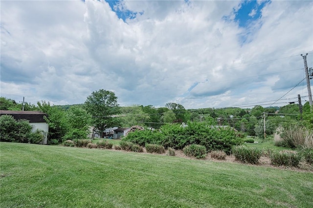 103 Shady Dr, White Twp Ind, PA 15701 - view of green lawn