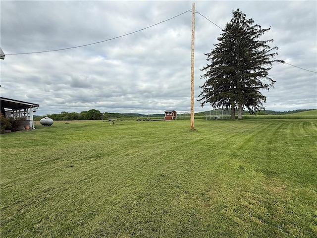 2650 Georgeville Rd, S Mahoning/Plumville, PA 15759 - view of green lawn