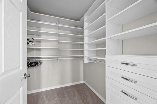 2053 Isleworth, Cranberry Twp, PA 16066 - walk in closet with dark carpet