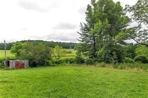 2505 Parkwood Rd, Armstrong/Shelocta, PA 15774 - view of grassy yard