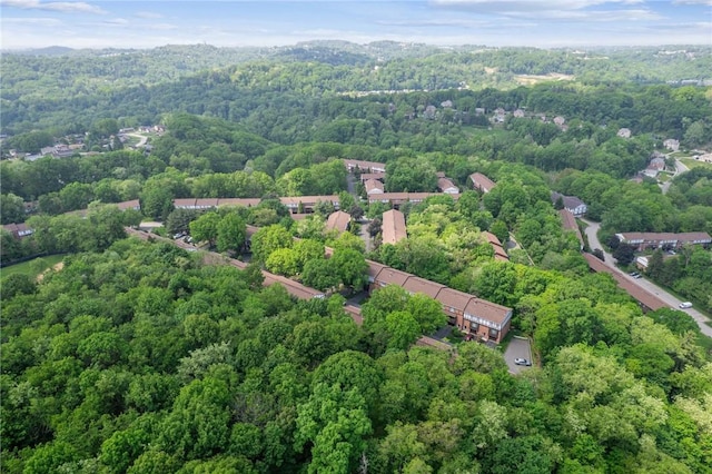 436 Allenberry Dr, Ross Twp, PA 15237 - bird's eye view of a forest