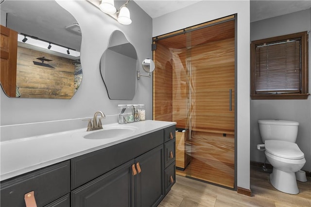 bathroom with wood finished floors, toilet, vanity, and rail lighting