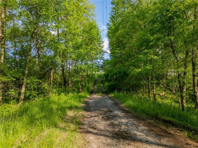 1445 E Cruikshank Rd, Valencia Boro, PA 16059 - view of dirt / gravel road