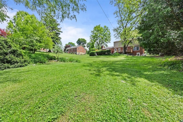 38 Elwyn Ave, Collier Twp, PA 15106 - view of grassy yard