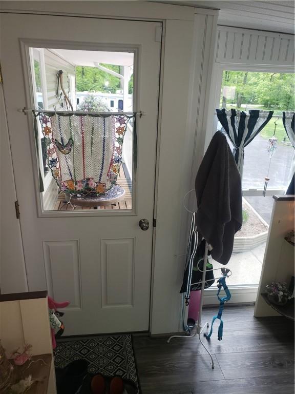 2381 Lake Rd, Jefferson Twp Mer, PA 16150 - entryway with plenty of natural light and wood finished floors