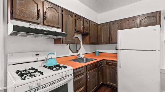 427 W Warrington Ave, Beltzhoover, PA 15210 - kitchen with white appliances, under cabinet range hood, dark brown cabinets, a sink, and light countertops