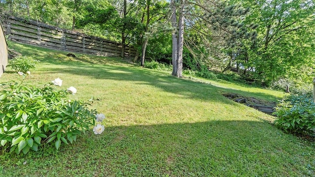 427 W Warrington Ave, Beltzhoover, PA 15210 - view of yard