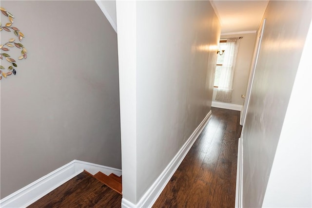 545 Roseland Ave, Ross Twp, PA 15214 - hall featuring crown molding, hardwood / wood-style floors, and baseboards