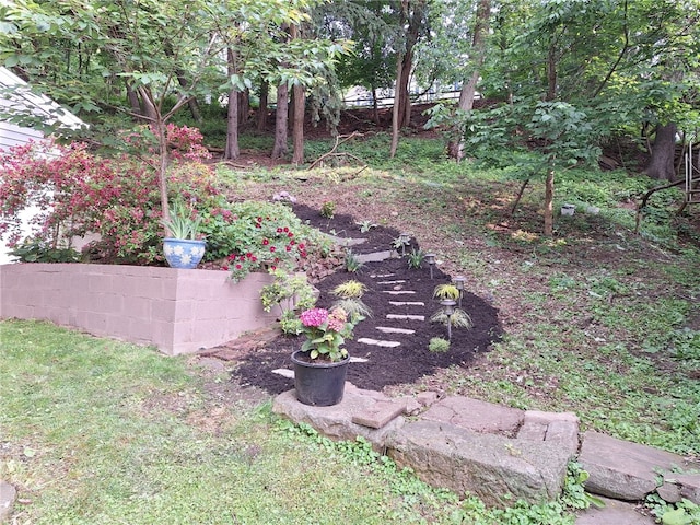545 Roseland Ave, Ross Twp, PA 15214 - view of yard